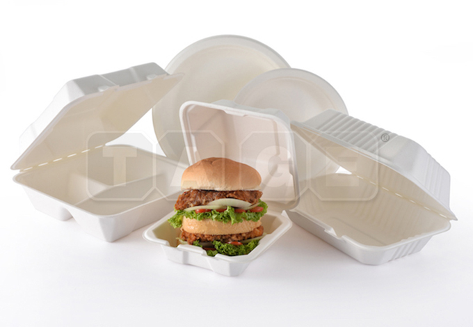 Bagasse Product