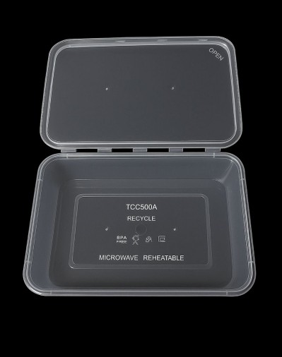 Hinged Lid Rectangular Container