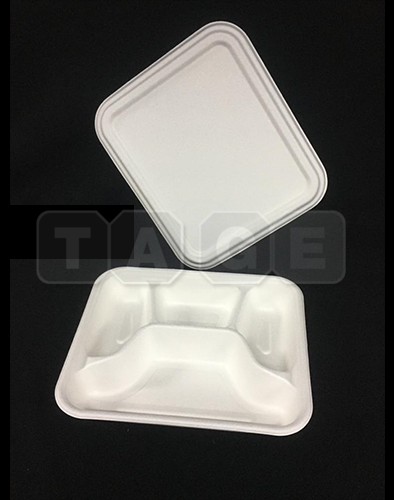 Bagasse Container