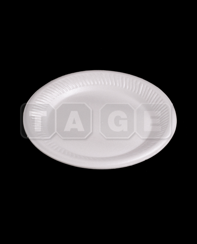 Foam Plate