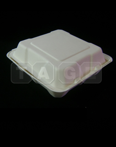 Bagasse Food Box