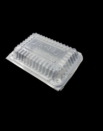 PP Food Box And Bowl (Translucent)