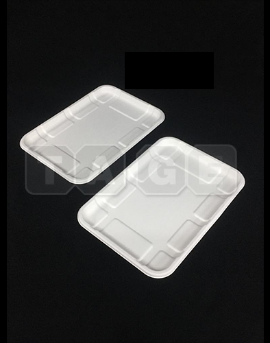Bagasse Tray