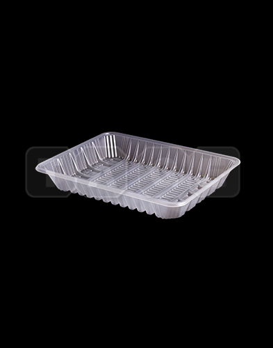 PP Food Tray (Translucent)